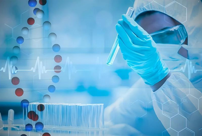 Uses of Polyimide Materials