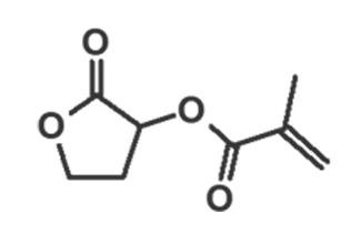 2-Oxotetrahydrofuran-3-Yl Methacrylate (GBLMA) 195000-66-9 C8H10O4
